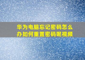 华为电脑忘记密码怎么办如何重置密码呢视频