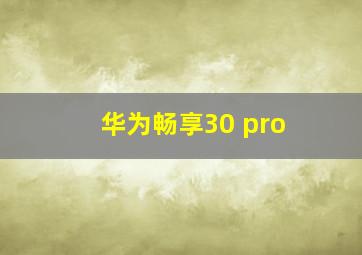 华为畅享30 pro