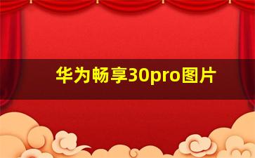 华为畅享30pro图片