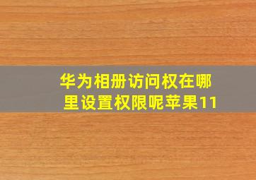 华为相册访问权在哪里设置权限呢苹果11