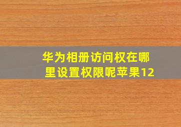 华为相册访问权在哪里设置权限呢苹果12