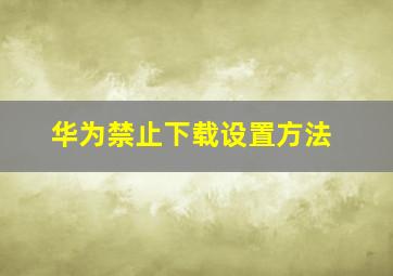 华为禁止下载设置方法