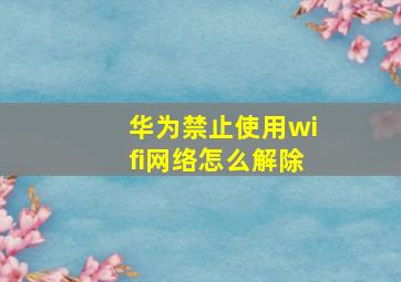 华为禁止使用wifi网络怎么解除