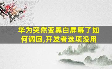 华为突然变黑白屏幕了如何调回,开发者选项没用