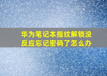 华为笔记本指纹解锁没反应忘记密码了怎么办