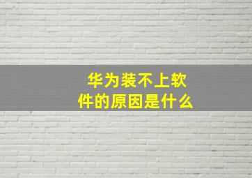 华为装不上软件的原因是什么