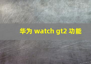 华为 watch gt2 功能