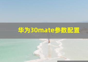 华为30mate参数配置