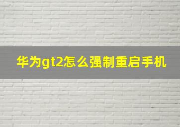 华为gt2怎么强制重启手机