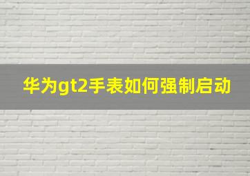 华为gt2手表如何强制启动