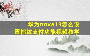 华为nova13怎么设置指纹支付功能视频教学