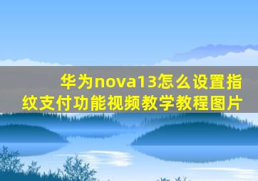 华为nova13怎么设置指纹支付功能视频教学教程图片