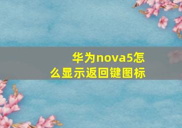 华为nova5怎么显示返回键图标