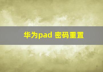 华为pad 密码重置