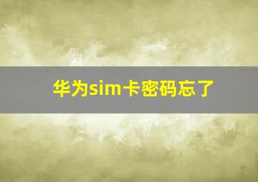 华为sim卡密码忘了