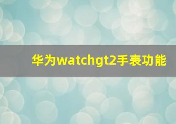 华为watchgt2手表功能