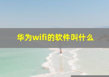 华为wifi的软件叫什么