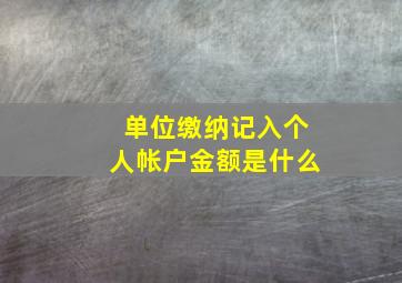 单位缴纳记入个人帐户金额是什么