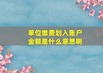 单位缴费划入账户金额是什么意思啊