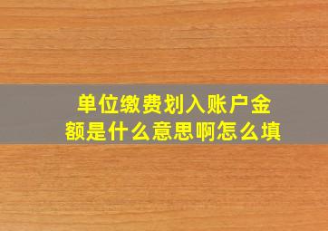 单位缴费划入账户金额是什么意思啊怎么填