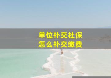 单位补交社保怎么补交缴费