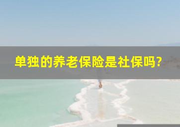 单独的养老保险是社保吗?