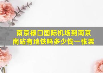 南京禄口国际机场到南京南站有地铁吗多少钱一张票