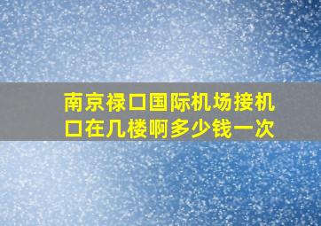 南京禄口国际机场接机口在几楼啊多少钱一次