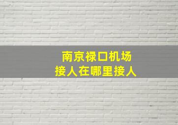 南京禄口机场接人在哪里接人