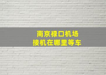 南京禄口机场接机在哪里等车