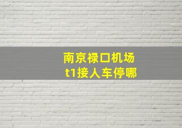 南京禄口机场t1接人车停哪