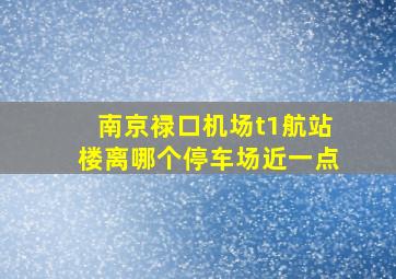 南京禄口机场t1航站楼离哪个停车场近一点