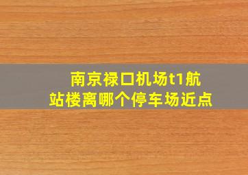 南京禄口机场t1航站楼离哪个停车场近点