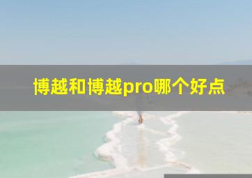 博越和博越pro哪个好点