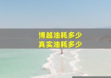 博越油耗多少真实油耗多少