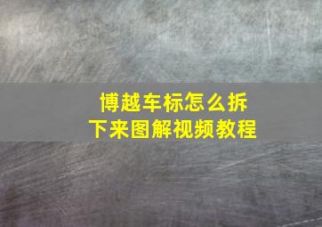 博越车标怎么拆下来图解视频教程