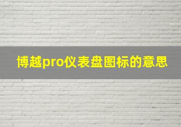 博越pro仪表盘图标的意思