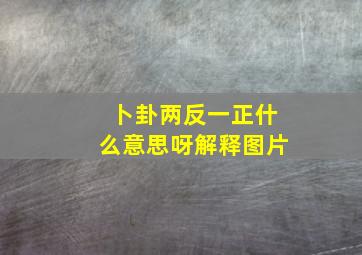 卜卦两反一正什么意思呀解释图片