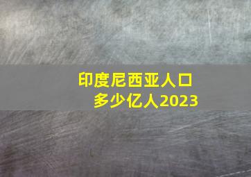 印度尼西亚人口多少亿人2023