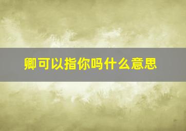 卿可以指你吗什么意思