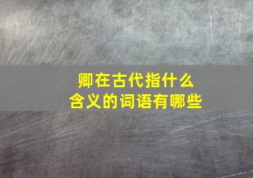 卿在古代指什么含义的词语有哪些