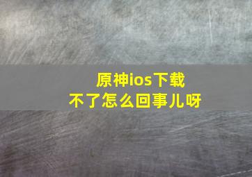 原神ios下载不了怎么回事儿呀