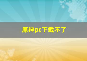 原神pc下载不了