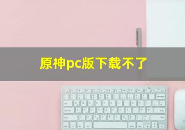 原神pc版下载不了