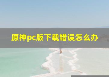 原神pc版下载错误怎么办