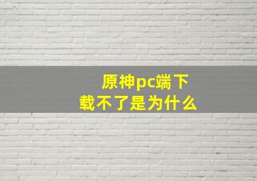 原神pc端下载不了是为什么