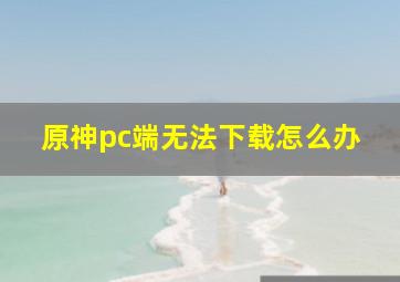 原神pc端无法下载怎么办