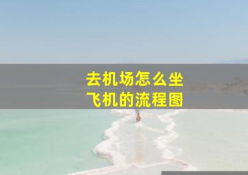 去机场怎么坐飞机的流程图