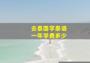 去泰国学泰语一年学费多少