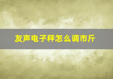 友声电子秤怎么调市斤